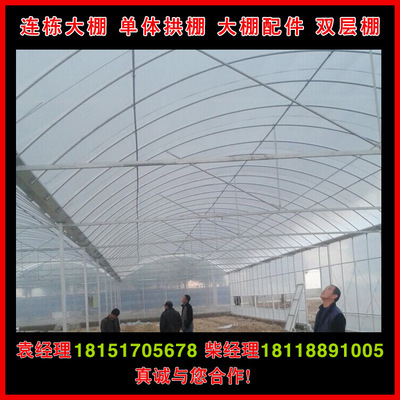 南京薄膜大棚材料解析 從鋼管骨架到雙膜技術，打造高品質草莓種植基地