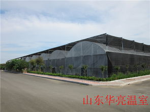 智能薄膜溫室 現(xiàn)代化農(nóng)業(yè)的優(yōu)選方案——以山東設(shè)計為例
